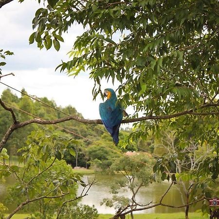 Pousada Fazenda Buracao Mococa Buitenkant foto