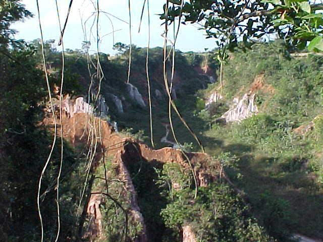 Pousada Fazenda Buracao Mococa Buitenkant foto
