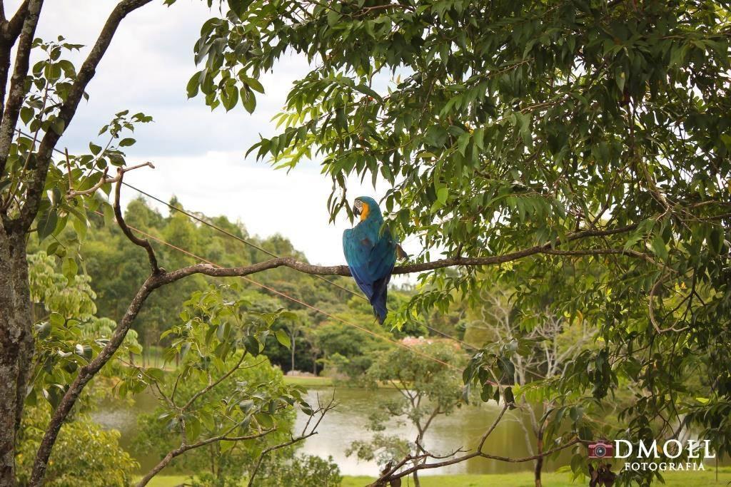 Pousada Fazenda Buracao Mococa Buitenkant foto